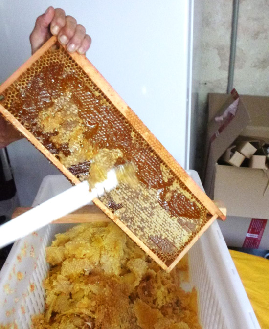 Comberme - Récolte du miel